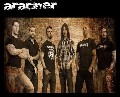 Aracner