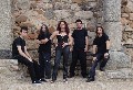 Satcconnia
