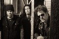 Newsted