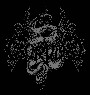 Corvus