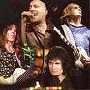 The Lizards