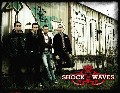 Shock Waves