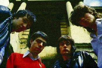 Barracudas