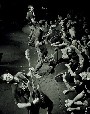 Propagandhi