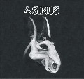 Asinus