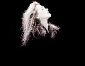 Meryl Streep