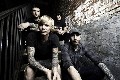 Evergreen Terrace