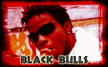 Black Bulls