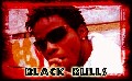 Black Bulls