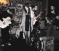 The Fauns