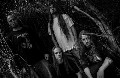 Defeated Sanity