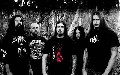 Disgorge