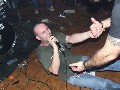 Txuminos Imberbes