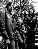 The Sadies