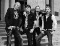 The New Roses