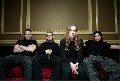 Cerebral Bore